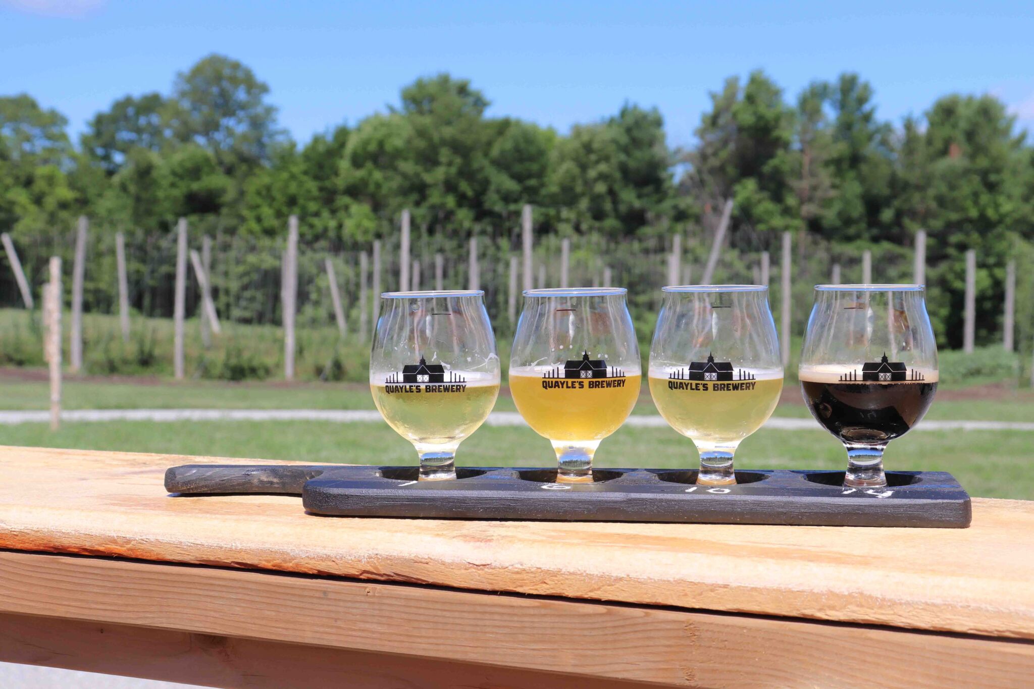 Flight of craft beer at Quayle's Brewery