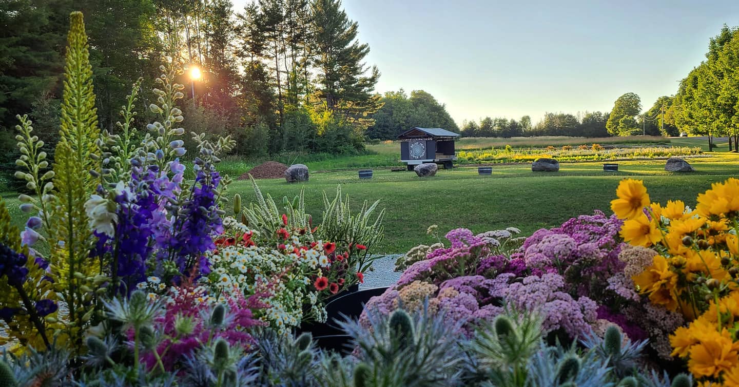Bear Pen Flower Farm farm garden at sunset
