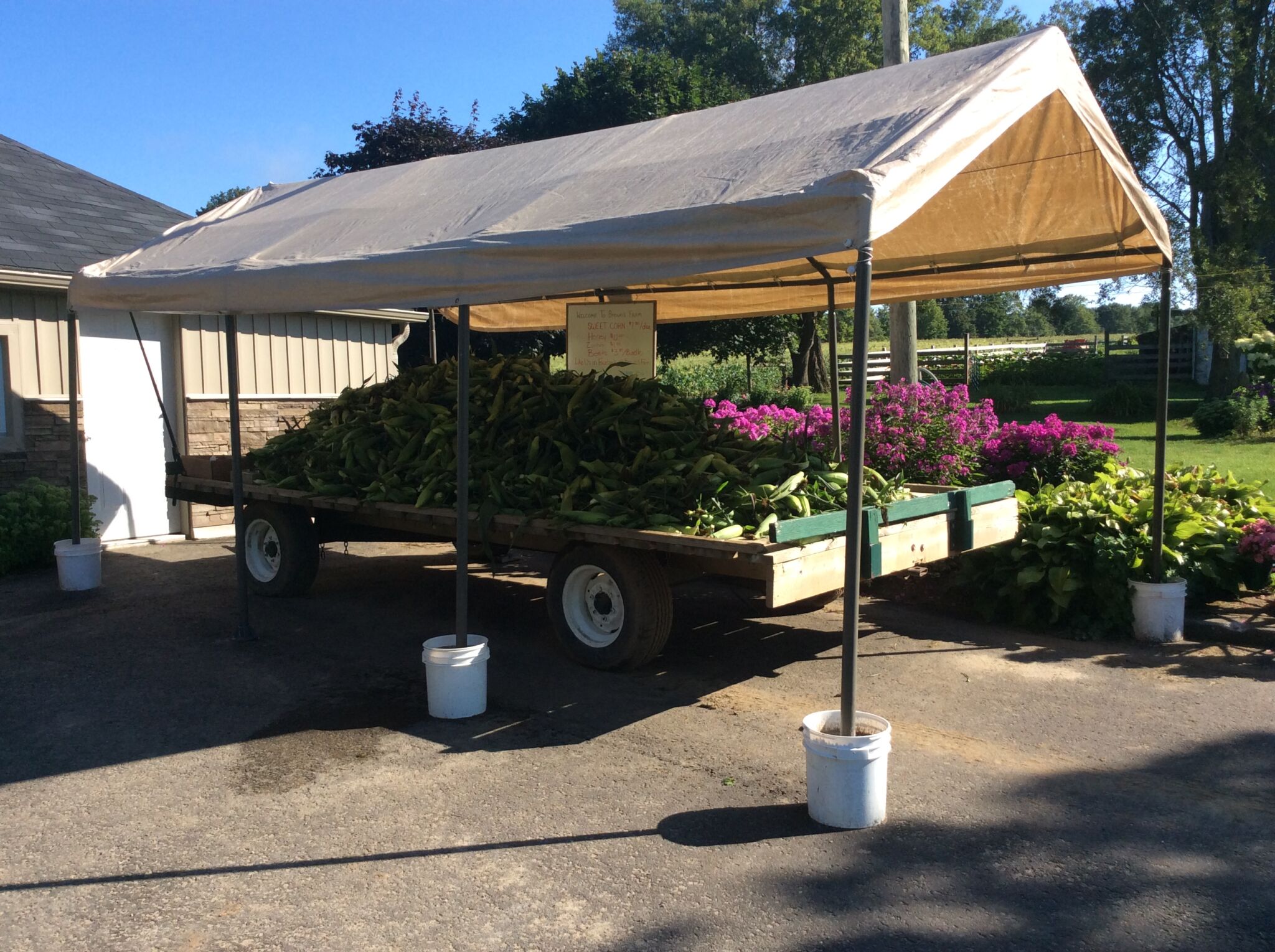 Brown's Farm fresh corn stand