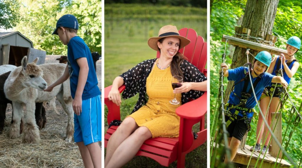 Alpaca, outdoor dining and treetop adventure experiences in Oro-Medonte