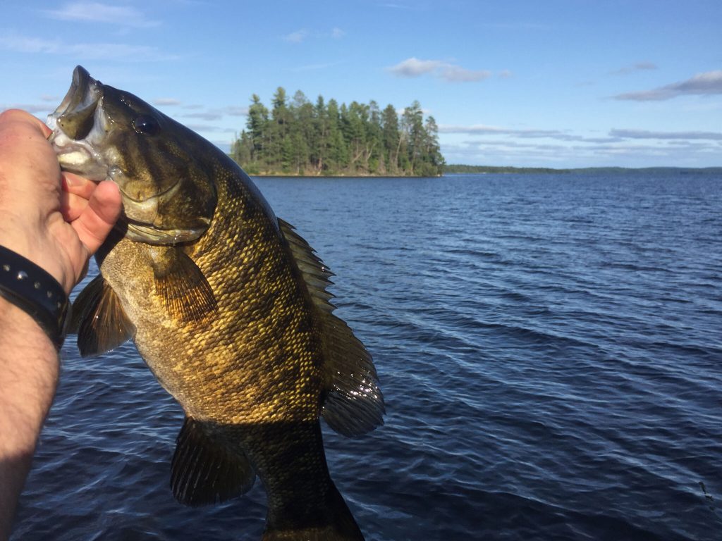 Smallmouth bass held above a lake