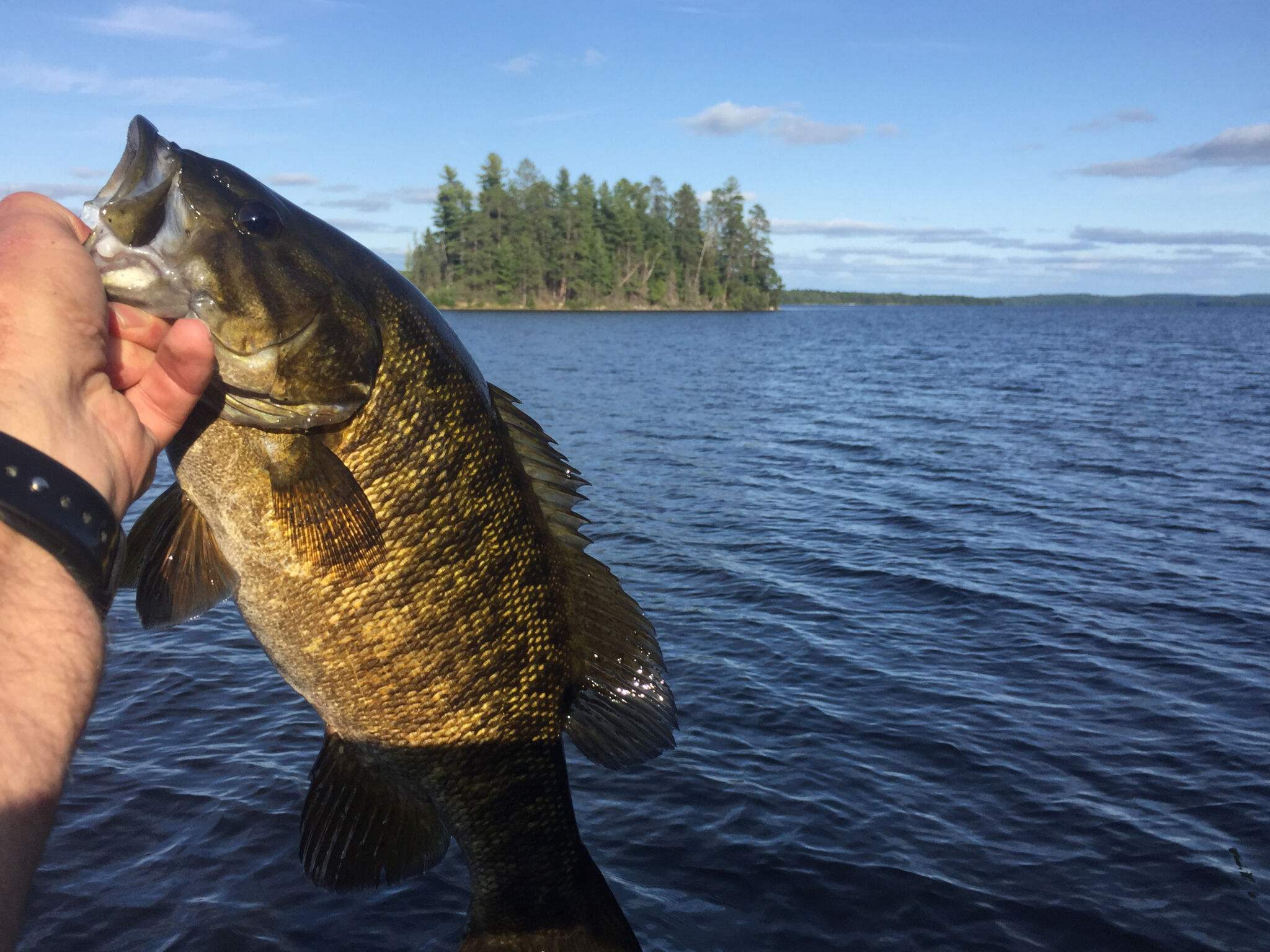 Smallmouth bass held above a lake