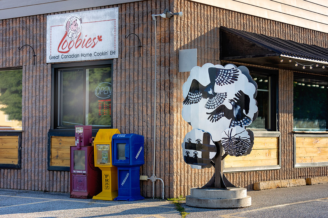Art tree of black and white osprey birds by MJ Pollak in front of Loobies Restaurant