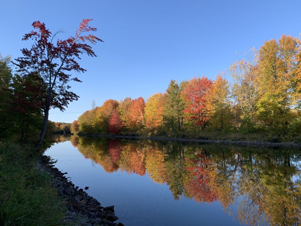 Washago Agnew NR Couchiching Conservancy Samantha Vessios Severn