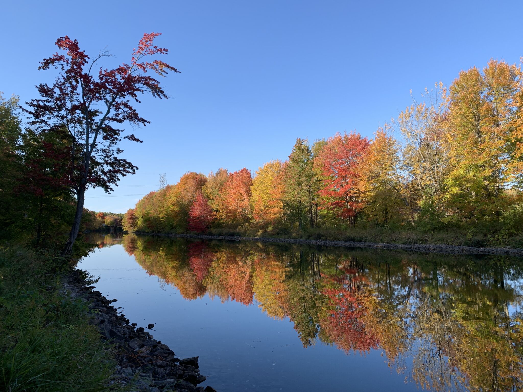 Washago Agnew NR Couchiching Conservancy Samantha Vessios Severn