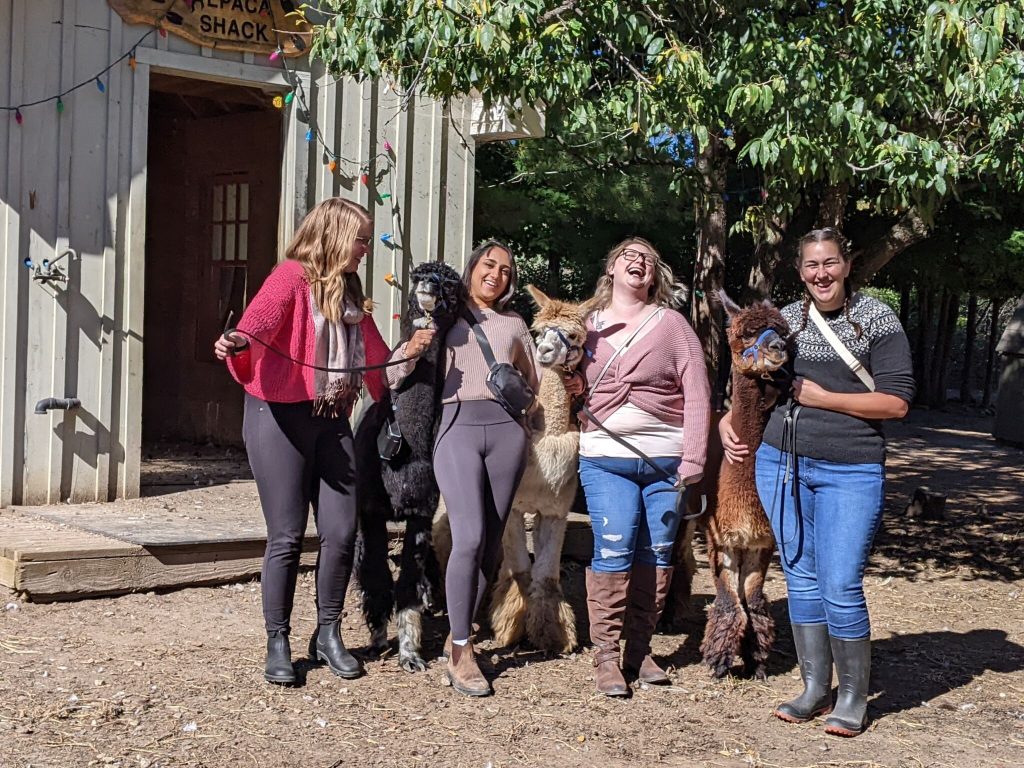 O M Jennifer Pike Alpaca5