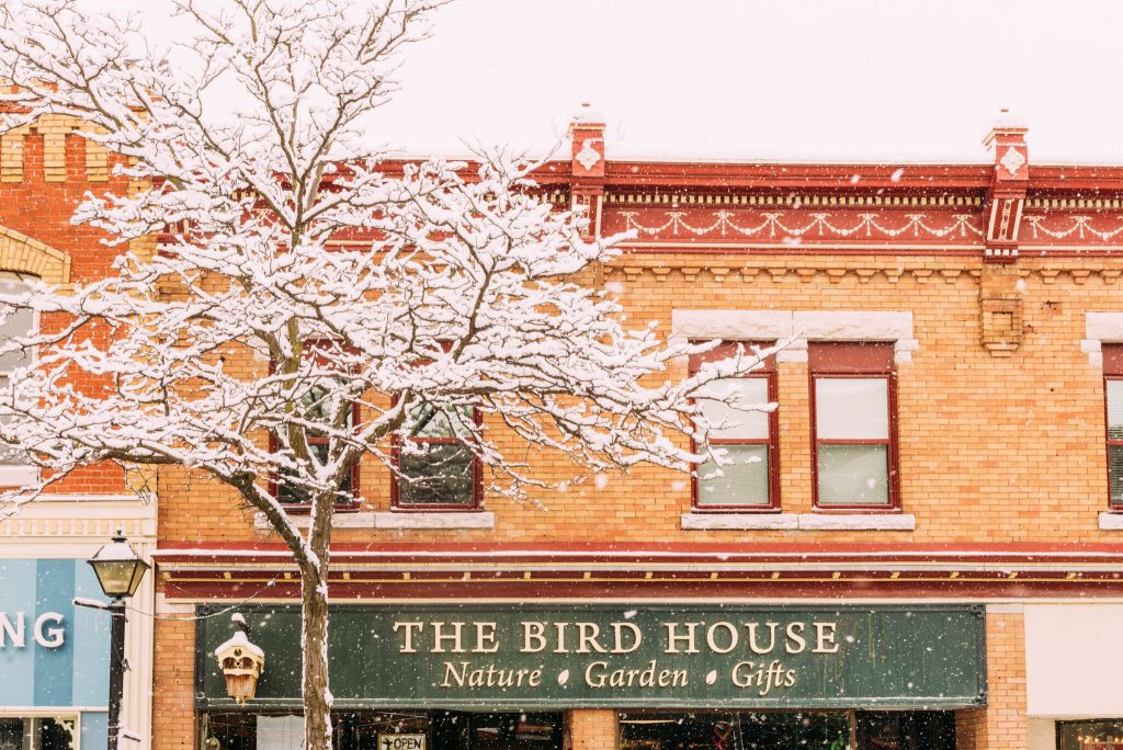 Downtown Orillia shop Bird House Nature Store Winter Holidays
