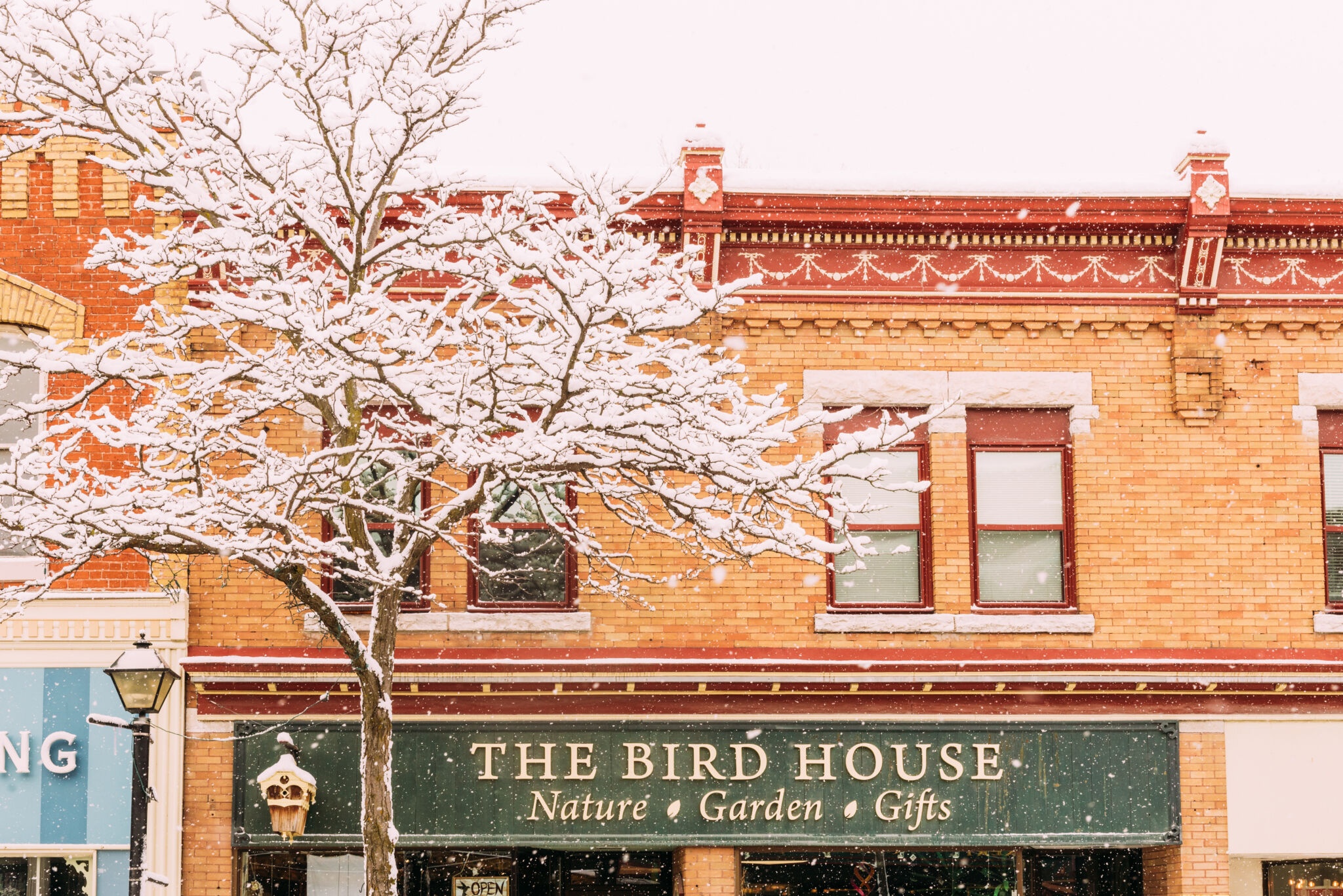 Downtown Orillia shop Bird House Nature Store Winter Holidays