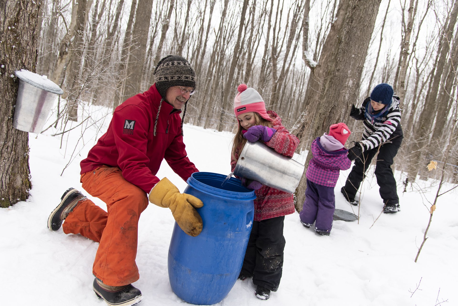 Tap into Maple Elsies Creek Farm