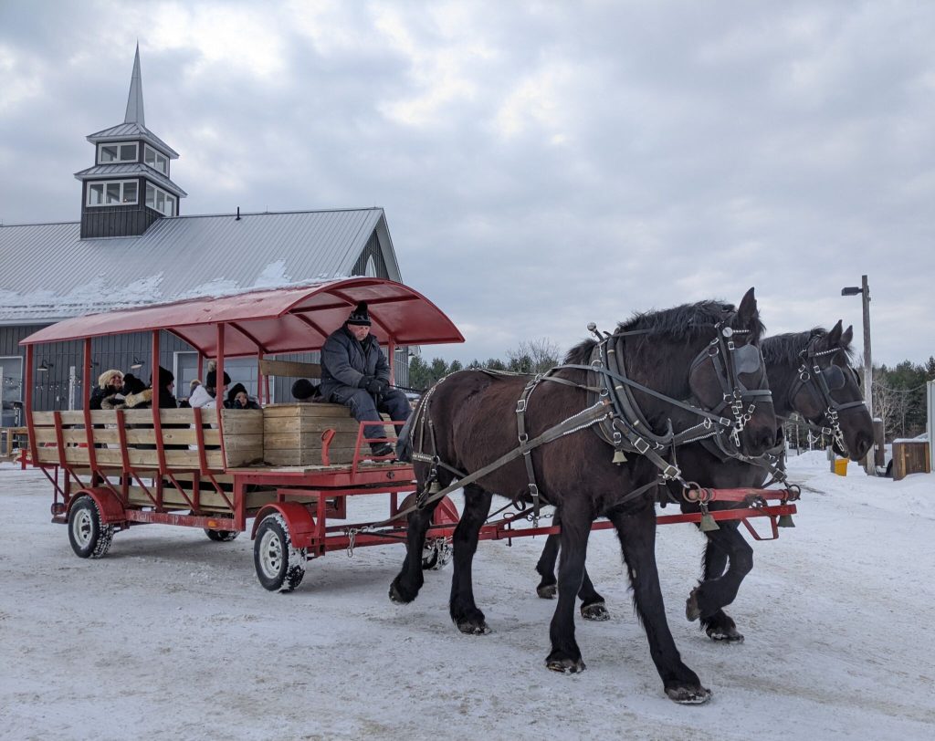 Quayle s Horse and Wagon