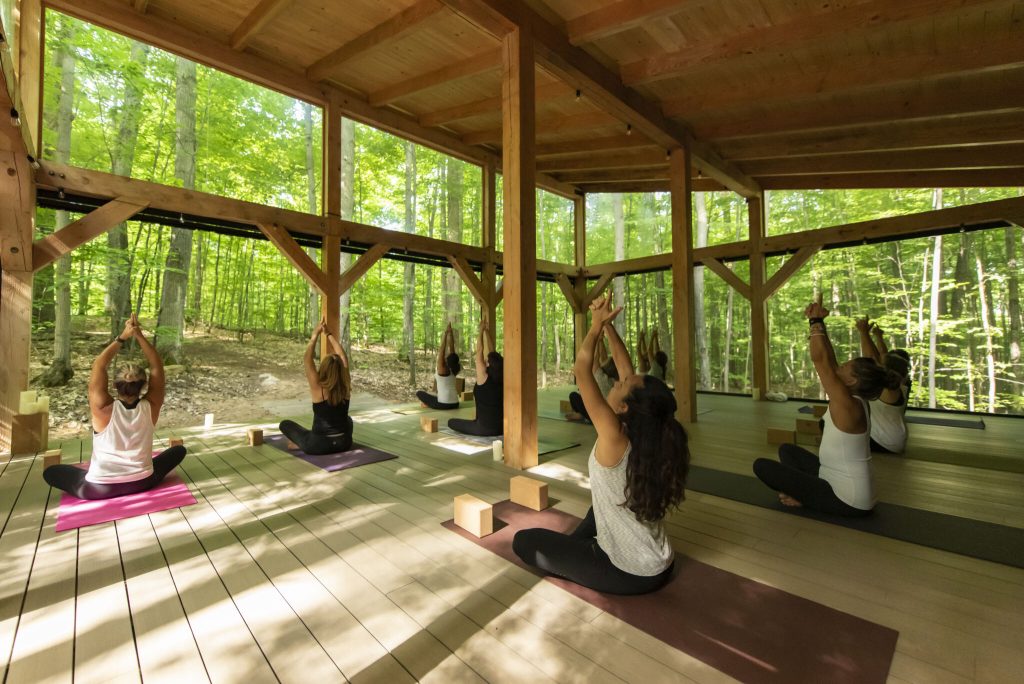 Vicki Tree Yoga Wellness blog summer