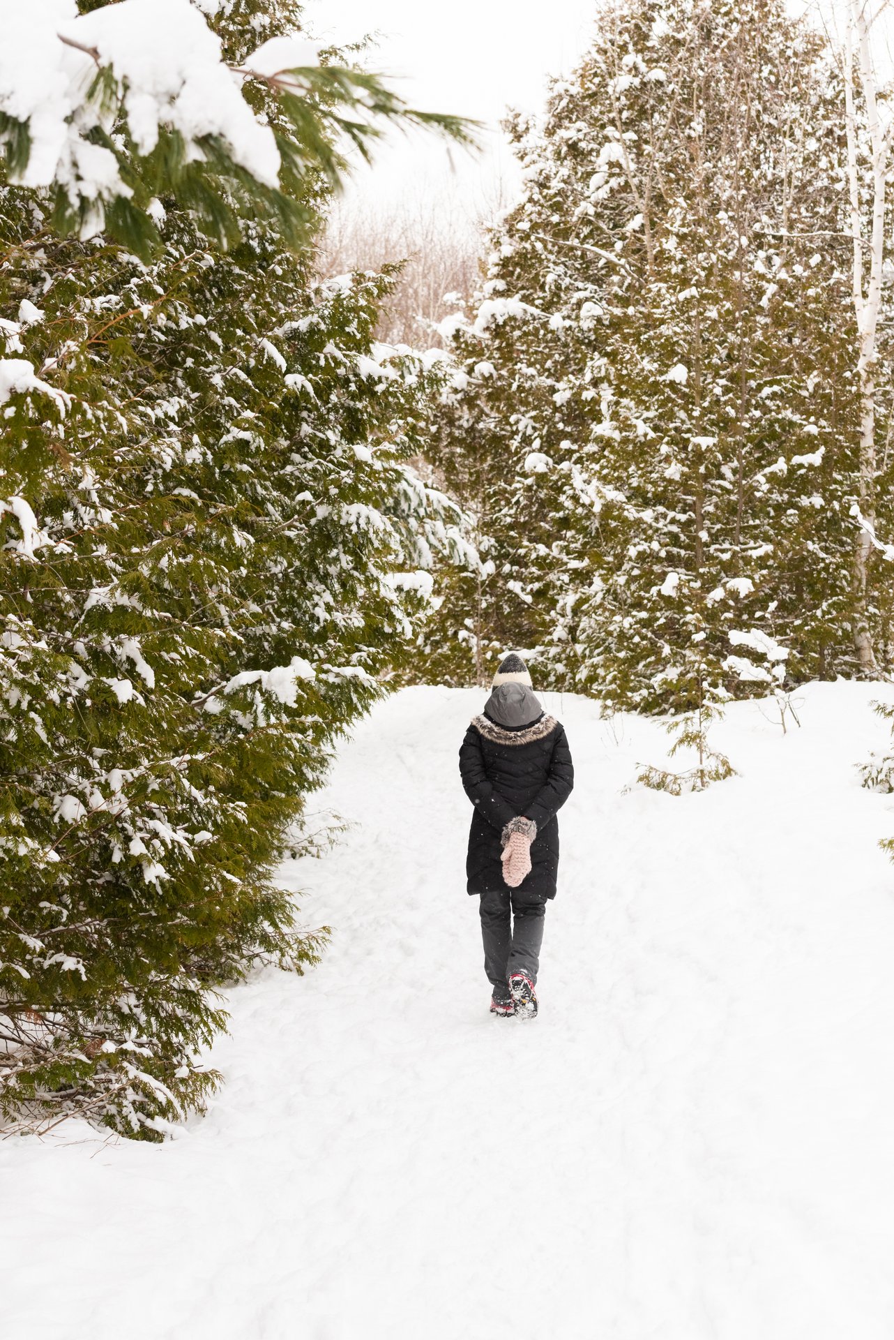 Scout Valley Orillia winter walk in snow