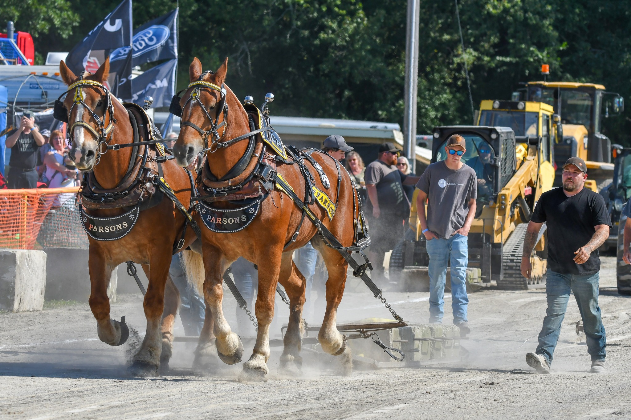 Horse pull Coldwater Fall Fair