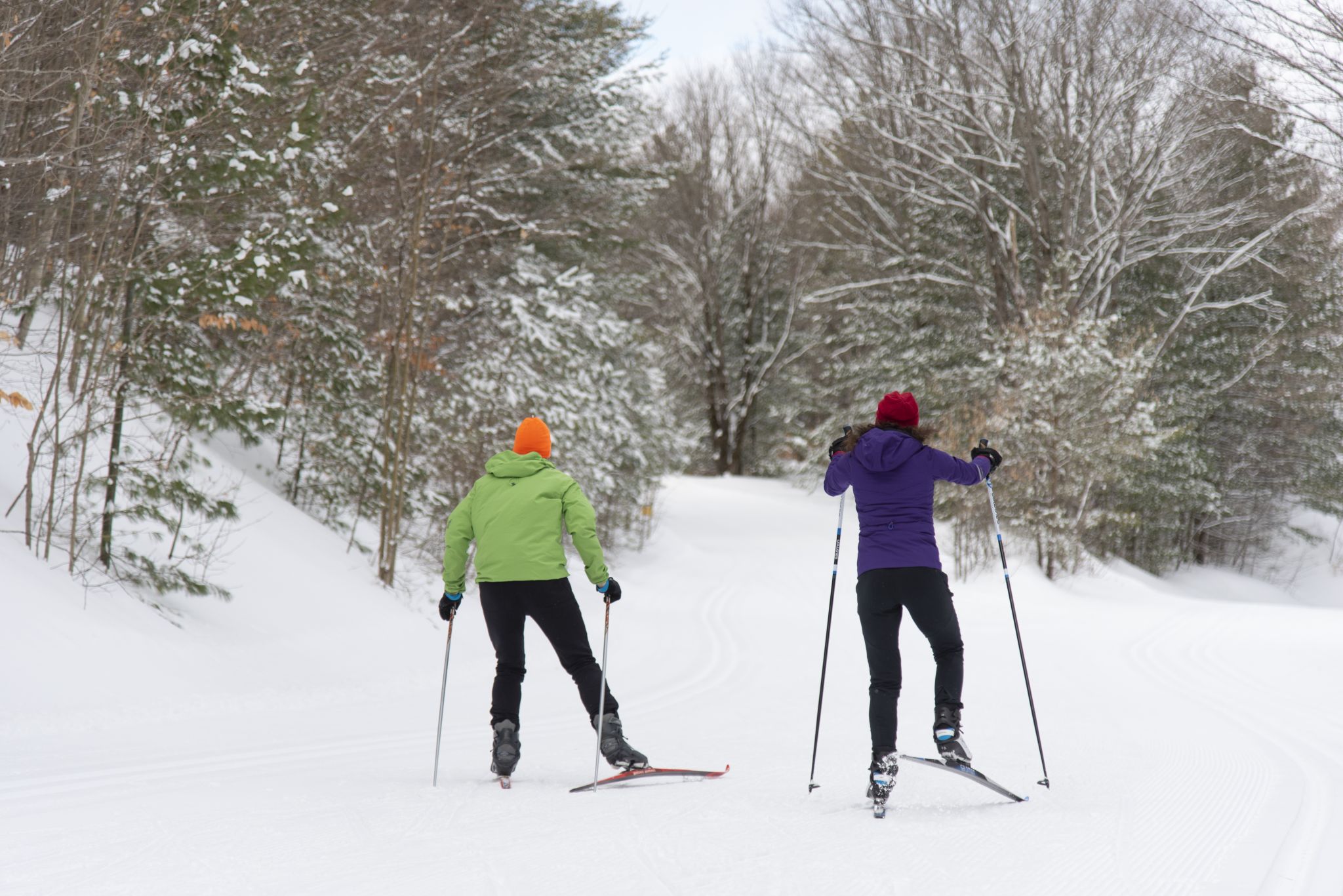 Hardwood Ski and Bike