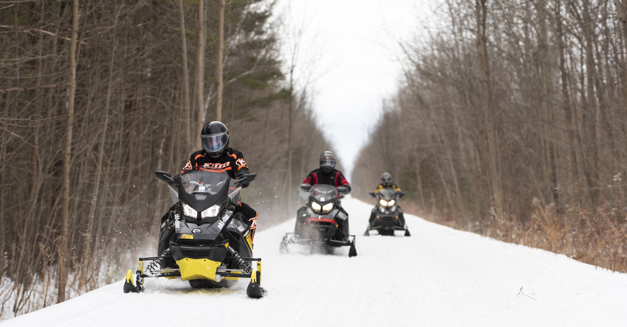 Snowmobilers riding along a forest trail