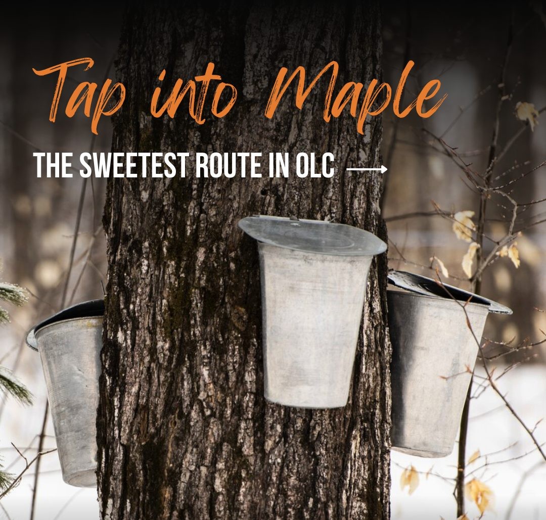 tap into maple