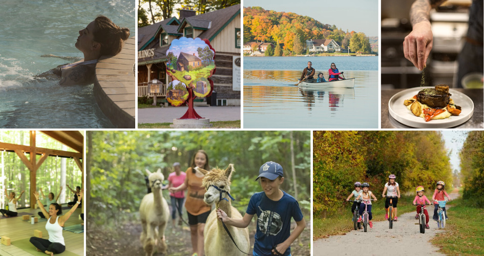 Oro-Medonte Summer Bucket List: Vetta Spa, Oro Art Trees, Paddling, Dining, Yoga, Davidson Estate Alpacas, Cycling Rail Trail