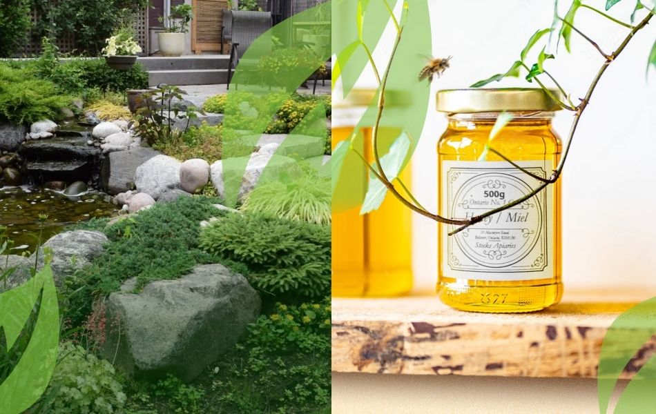homey and landscaping