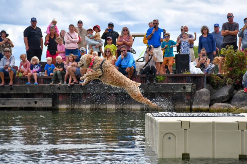 Waterfront festival 2