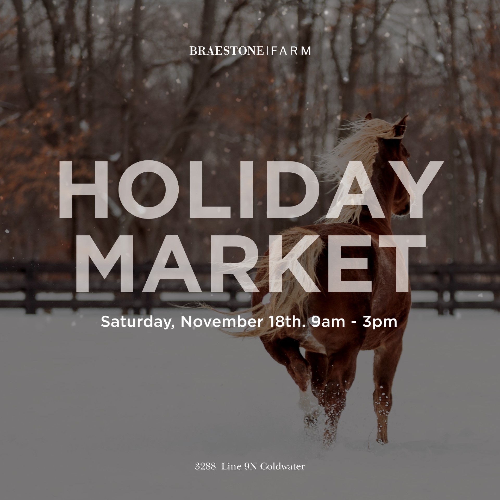 Braestone Holiday Market 2023