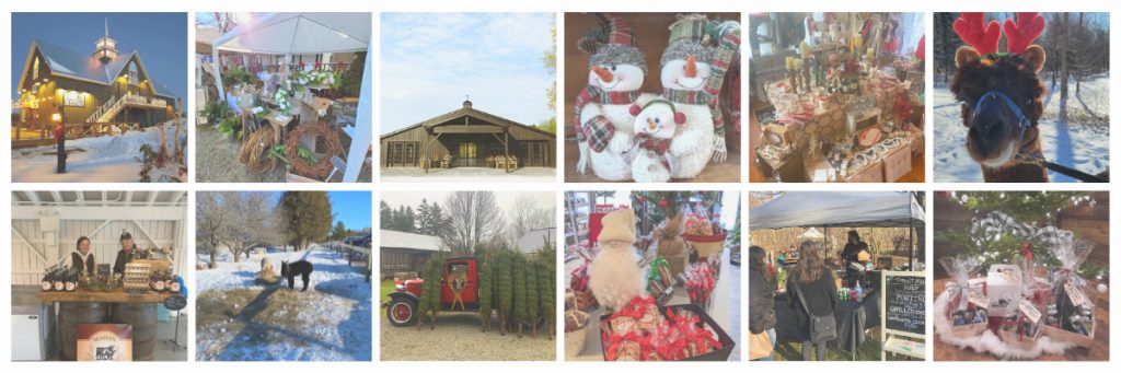 Oro-Medonte Holiday Markets