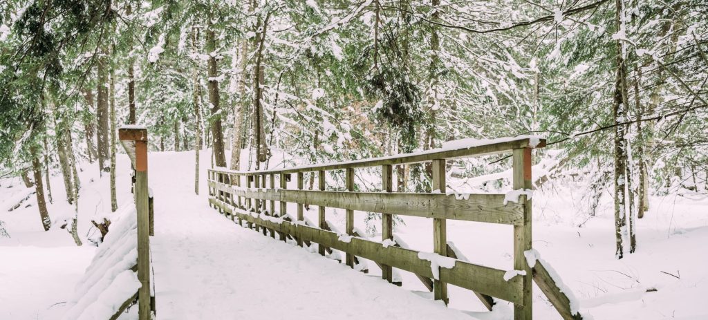 Severn Winter 2022 Web
