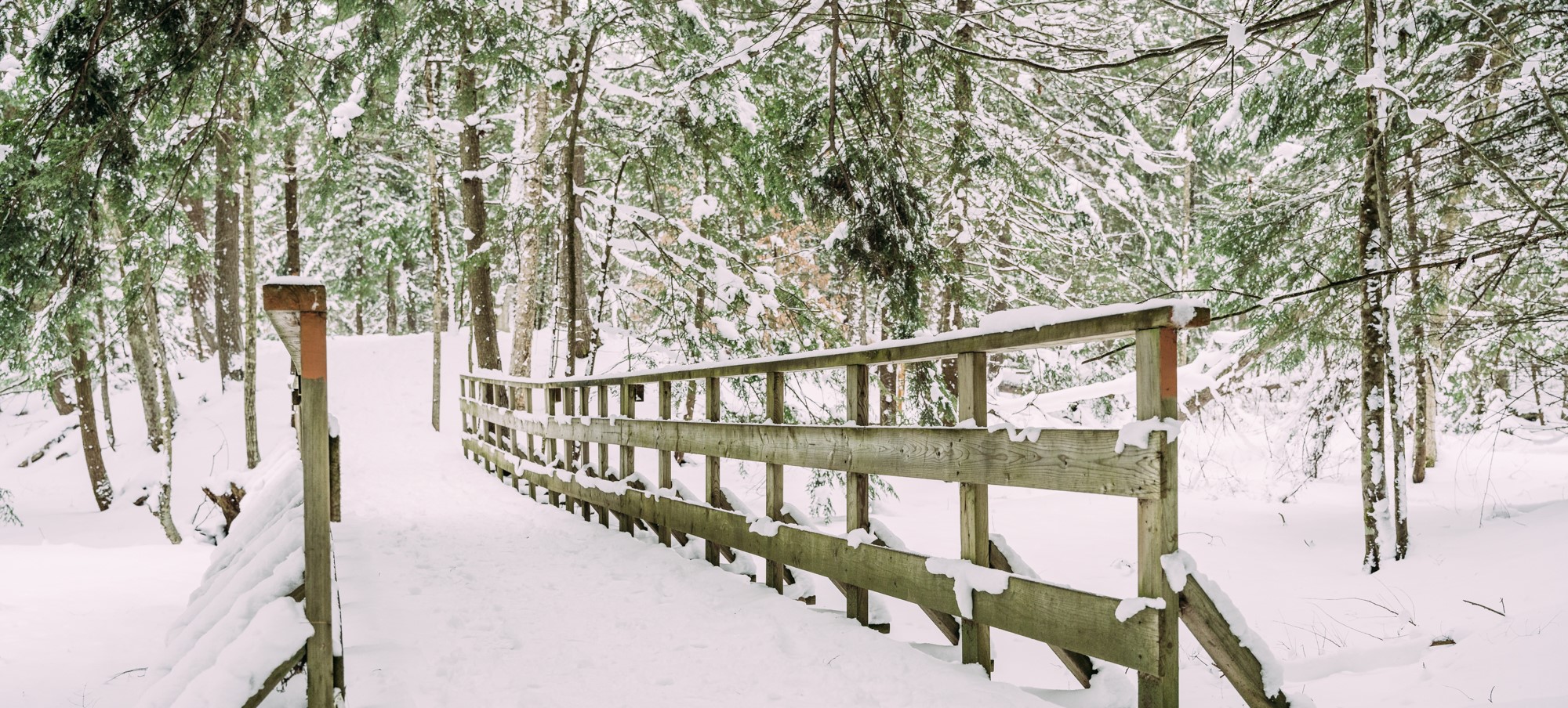 Severn Winter 2022 Web