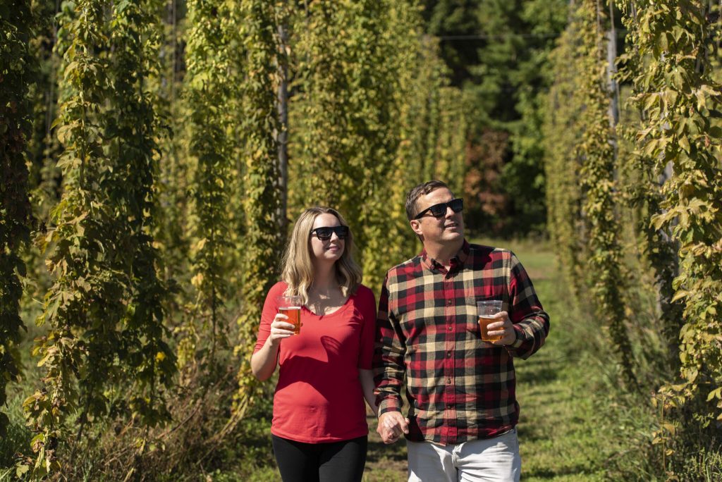 Couple standing among hop vines at Quayle's Brewery