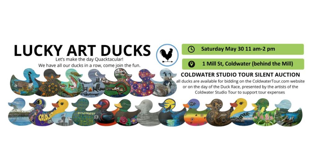 art ducks auction coldwater