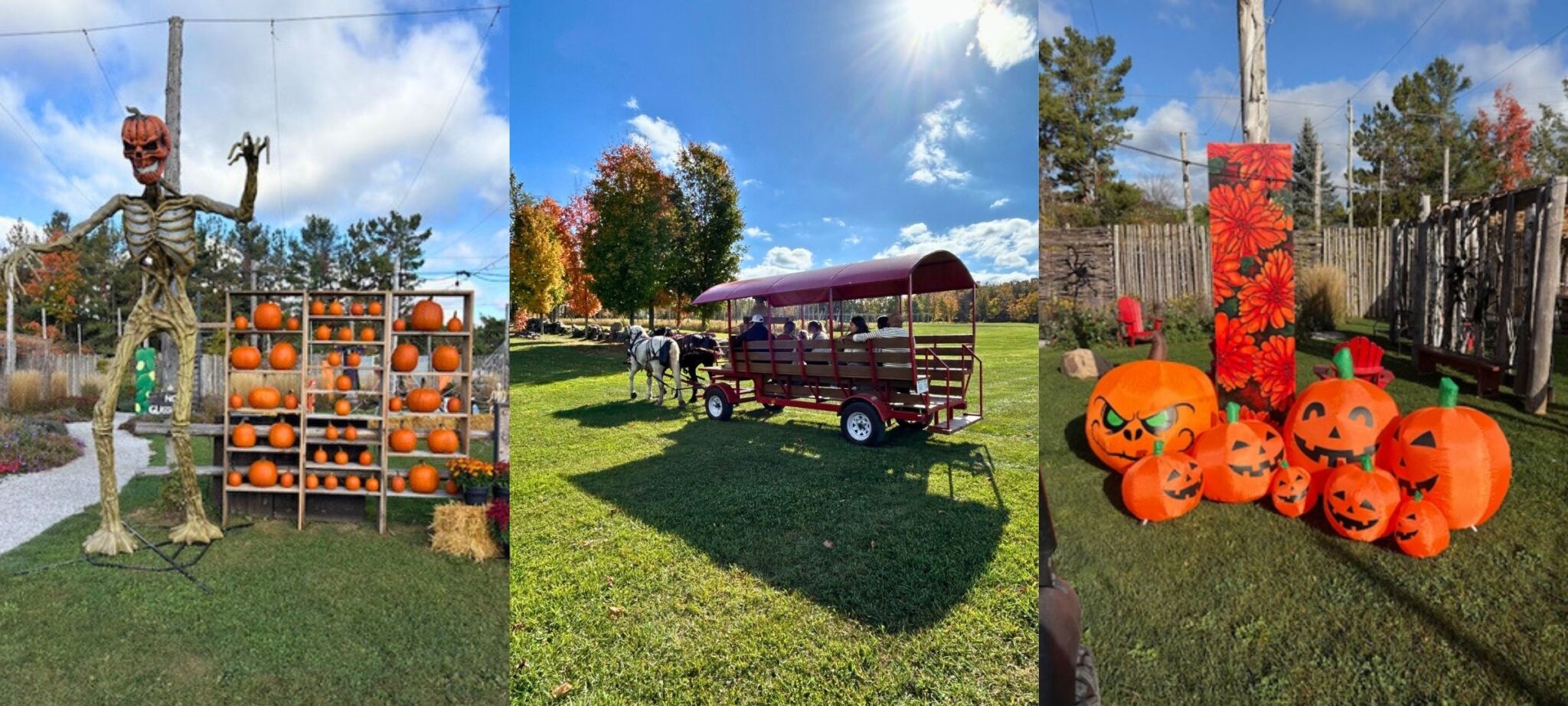 Quayle's Brewery Fall Festival