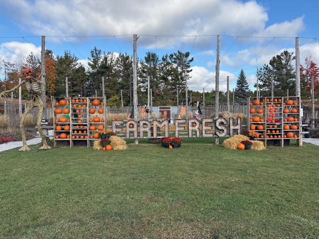 Quayle's Fall Festival