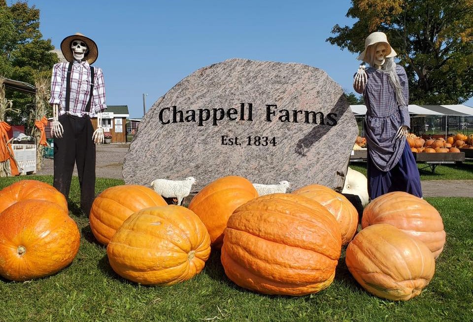 Chappell Farms