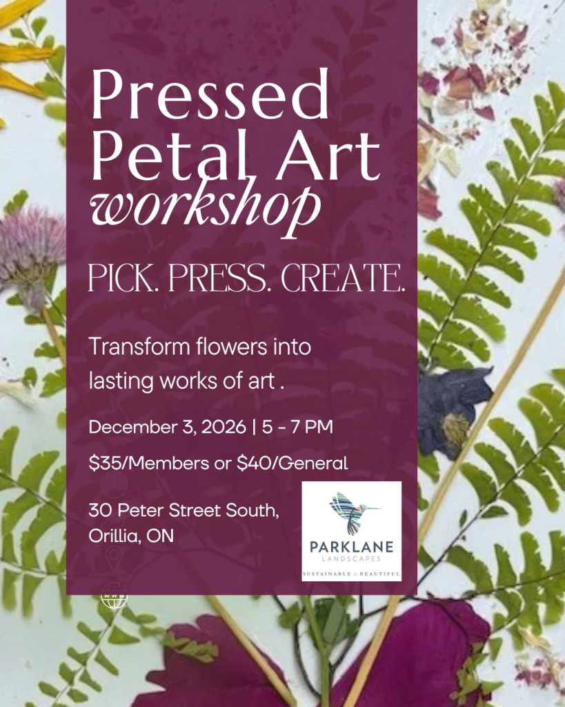 Pressed Petal Art 1 1 819x1024